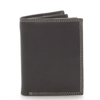 Pánská kožená peněženka černá - Delami Tui černá